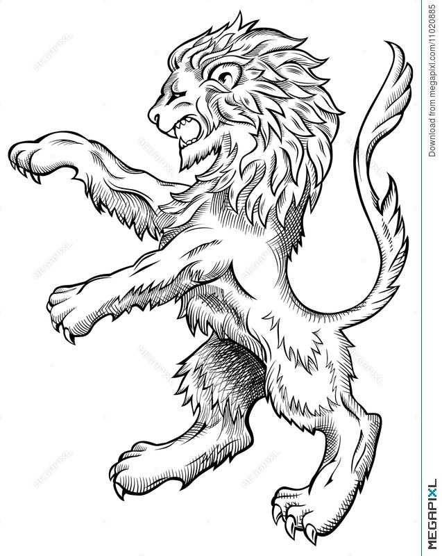 Lion Drawing  How To Draw A Lion Step By Step