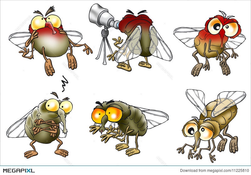 Set Of Cartoon Flies Illustration 11225810 - Megapixl