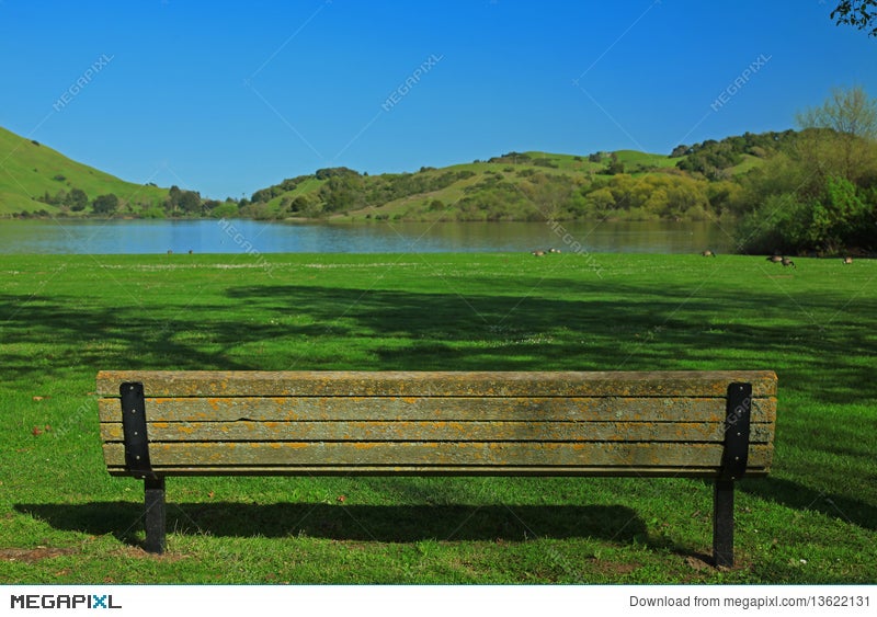 337 Background Nature Chair Images - MyWeb