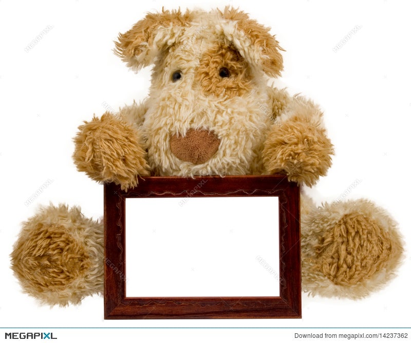 Teddy Bear With Photo Frame Stock 14237362 Megapixl Teddy Bear With Photo Frame
