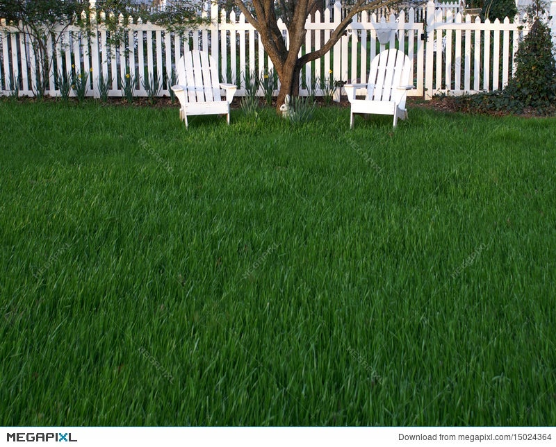 grassy yard