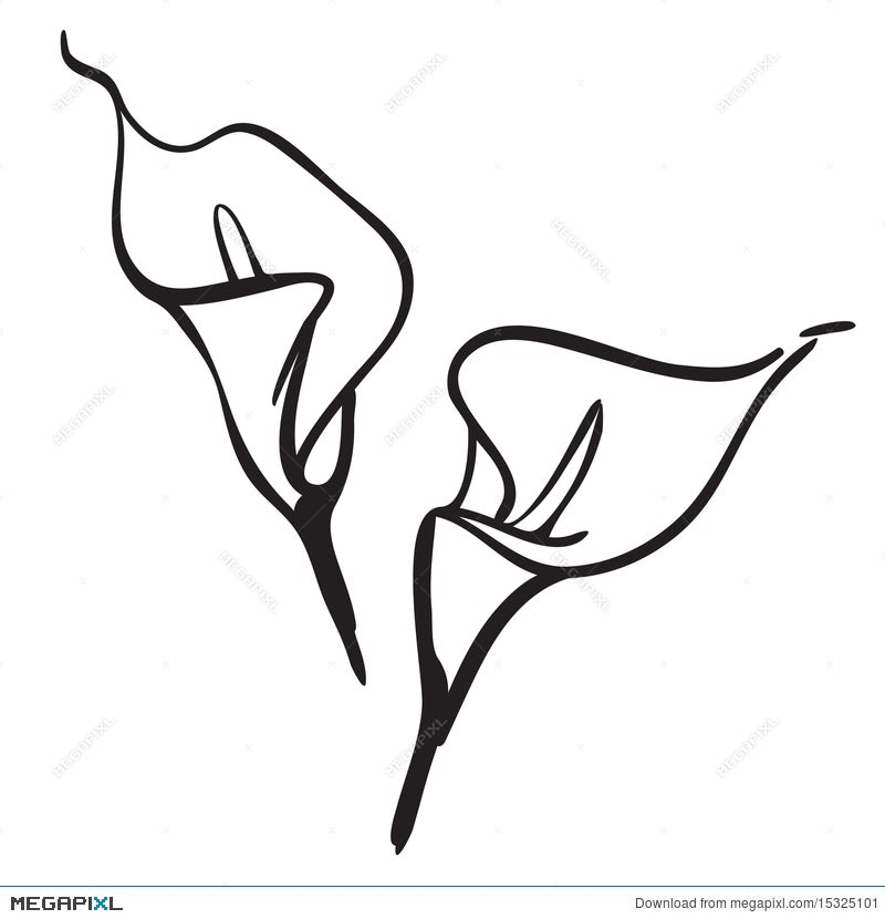 Calla Lily Black And White Clipart Flower