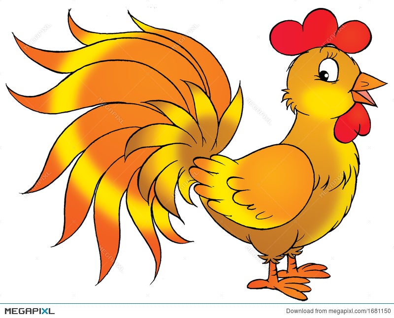 rooster cartoon illustration illustration 1681150 megapixl