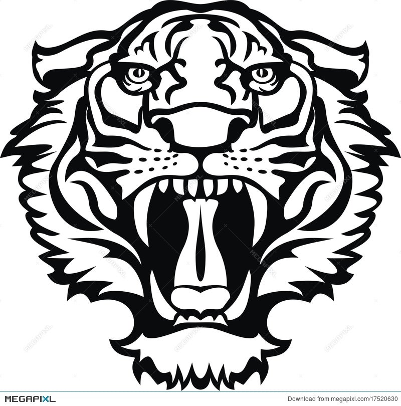 Tiger Black/White Tattoo Illustration 17520630 - Megapixl