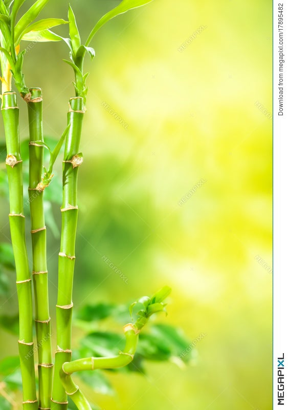 Green Spa - Bamboo Background Stock Photo 17895482 - Megapixl