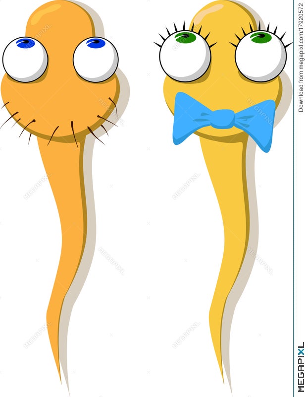 Two Funny Sperm - Girl And Boy. Vector Illustration 17920572 - Megapixl