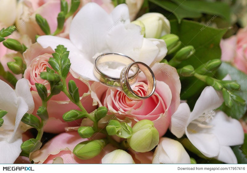 pink rose flower rings