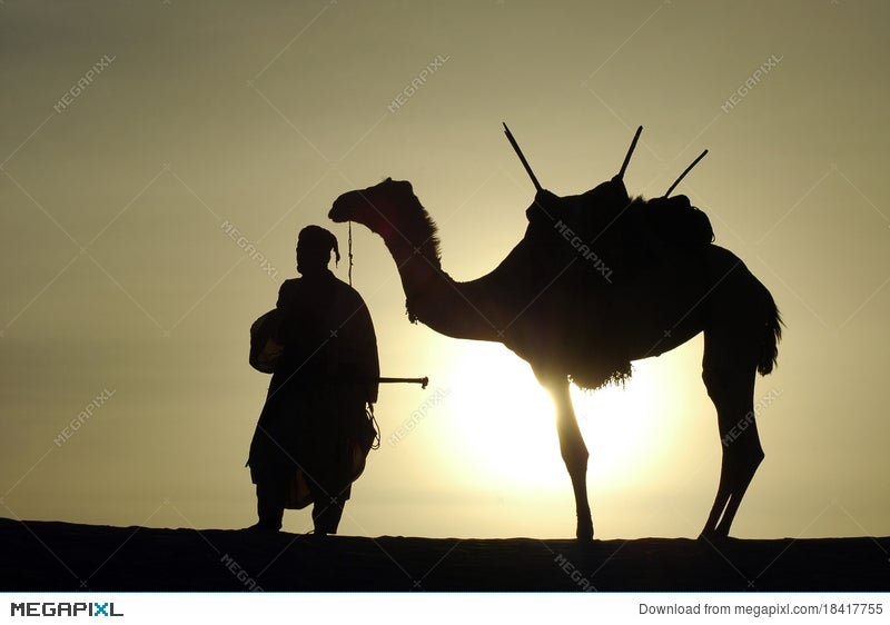 Silhouette Of A Nomad And Camel Stock Photo 18417755 - Megapixl