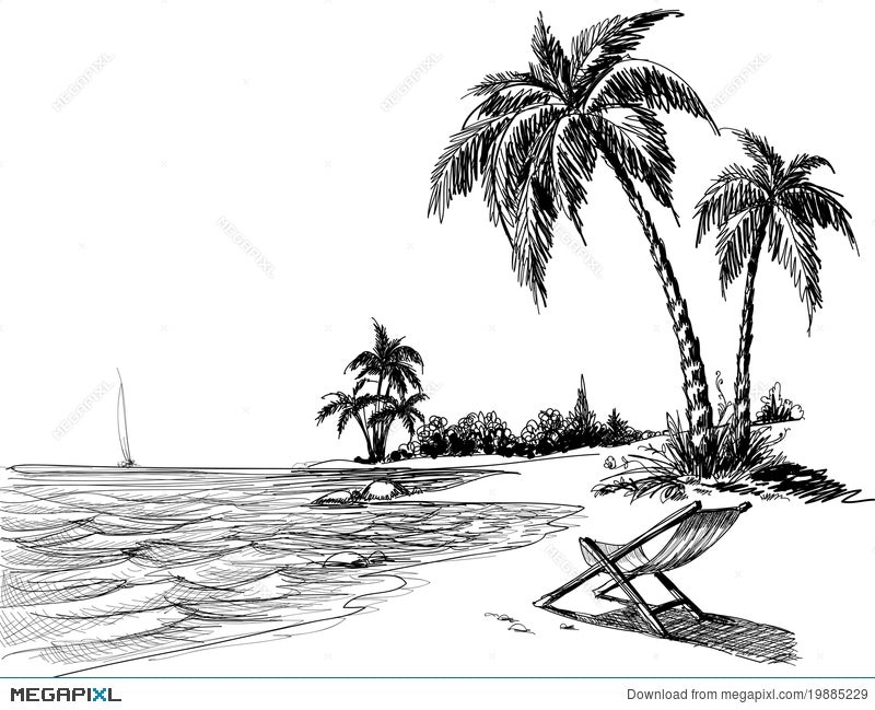 Califonia Palm Tree – Roland Lee
