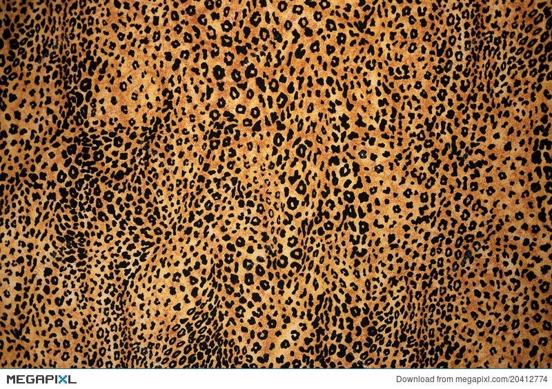 Leopard Pattern Vector Art, Icons, and Graphics for Free Download