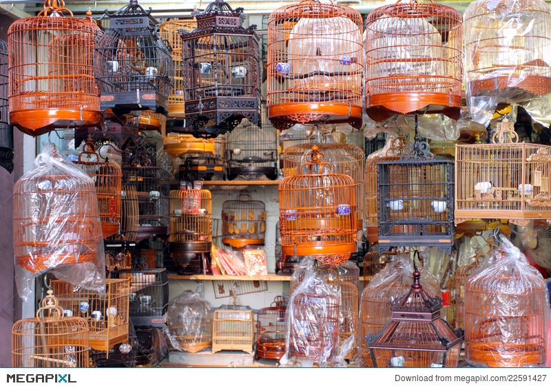 chinese bird cage