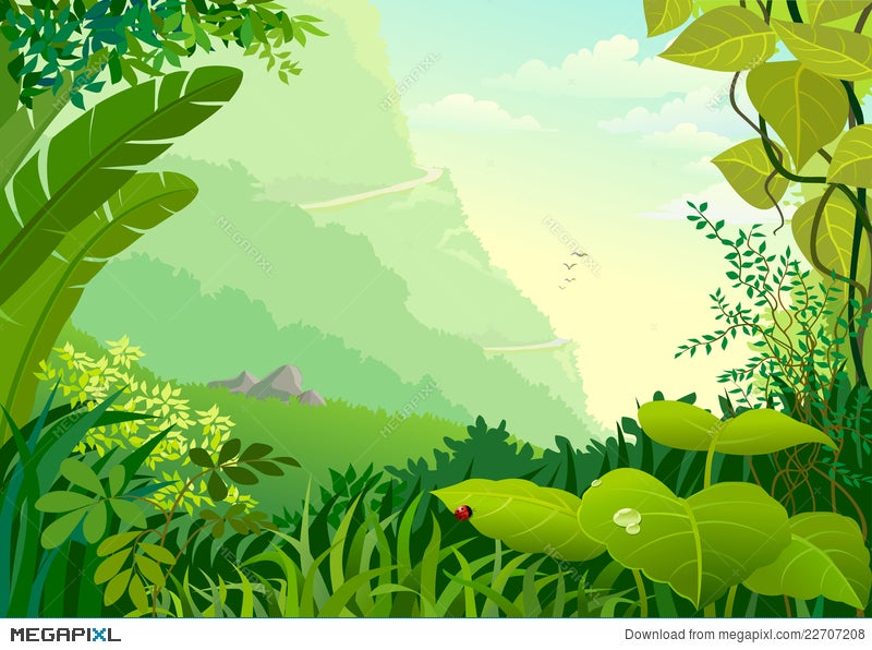 Amazon Jungle Trees And Dense Vegetation Illustration Megapixl