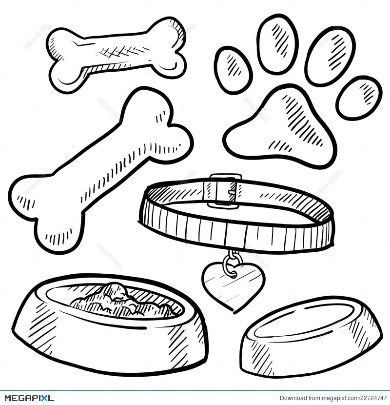 dog related items