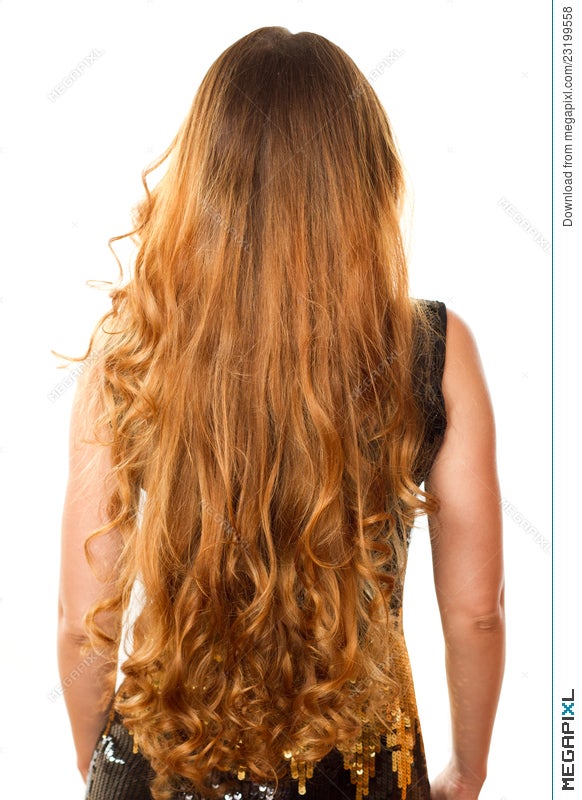 Hairstyle From Long Curly Hair From The Back Stock Photo 23199558 - Megapixl