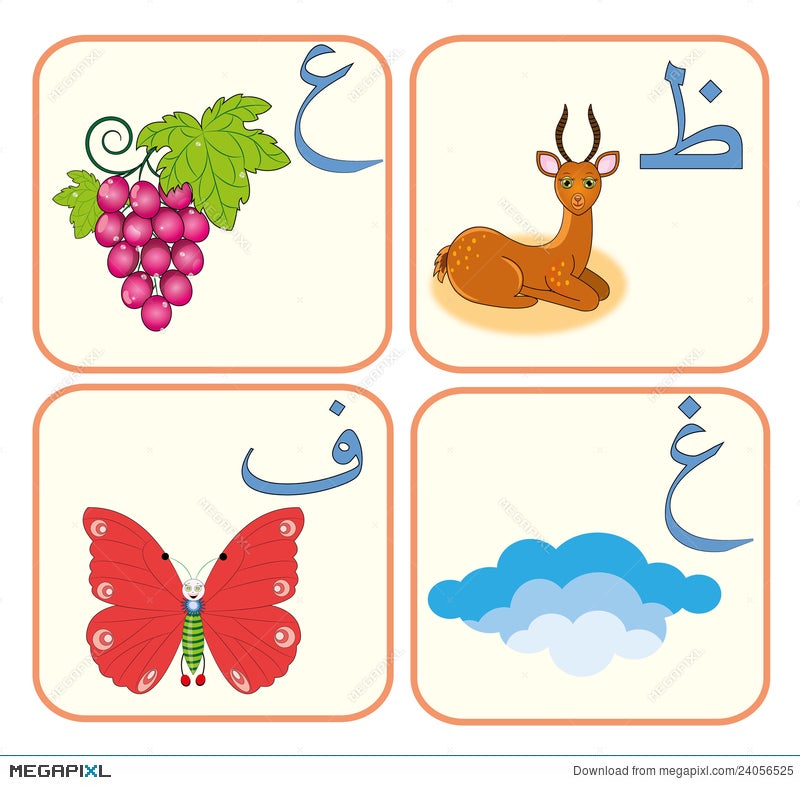 Arabic Alphabet For Kids (5) Illustration 24056525 - Megapixl