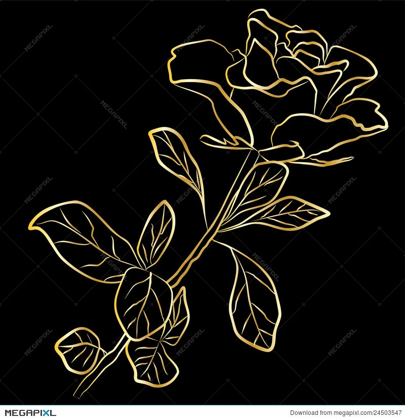 Minh họa 24503547 - Megapixl với hình ảnh hoa hồng vàng trên nền đen sẽ mang đến cảm giác huyền bí và lãng mạn. Hãy chiêm ngưỡng tác phẩm này và cảm nhận được một vẻ đẹp sâu thẳm, bí ẩn đến kỳ lạ.