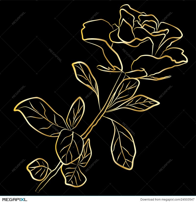 Golden Rose On A Black Background Illustration Megapixl