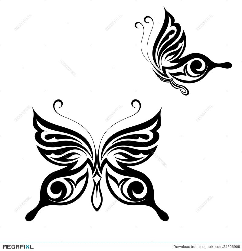 Premium Vector  Vector drawing of a beautiful butterfly butterfly tattoo