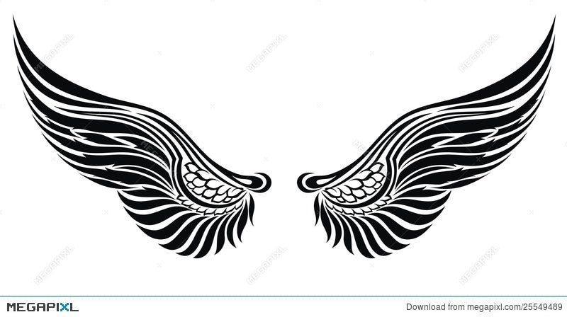 Set of Angel Wings in Vintage Style Template for Tattoo and Emblems  Tshirts and Logo Emblem for Stickers Stock Vector  Illustration of  feather flight 159079467