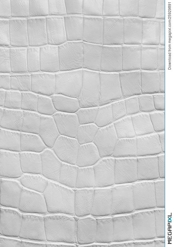 white crocodile texture