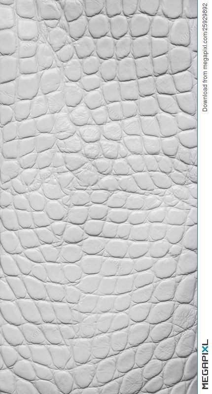 white crocodile texture