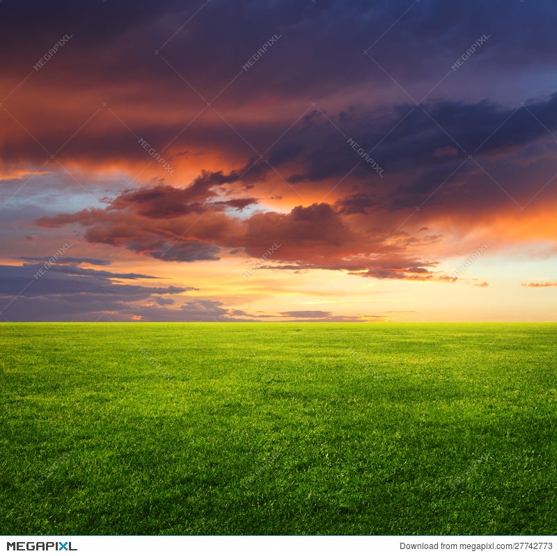 Green Grass Field And Evening Sky Stock Photo 27742773 - Megapixl