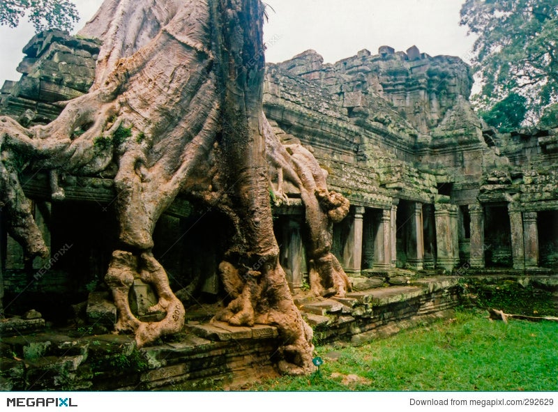 Jungle City Angkor Wat Temple Ruins Cambodia Stock Photo Megapixl
