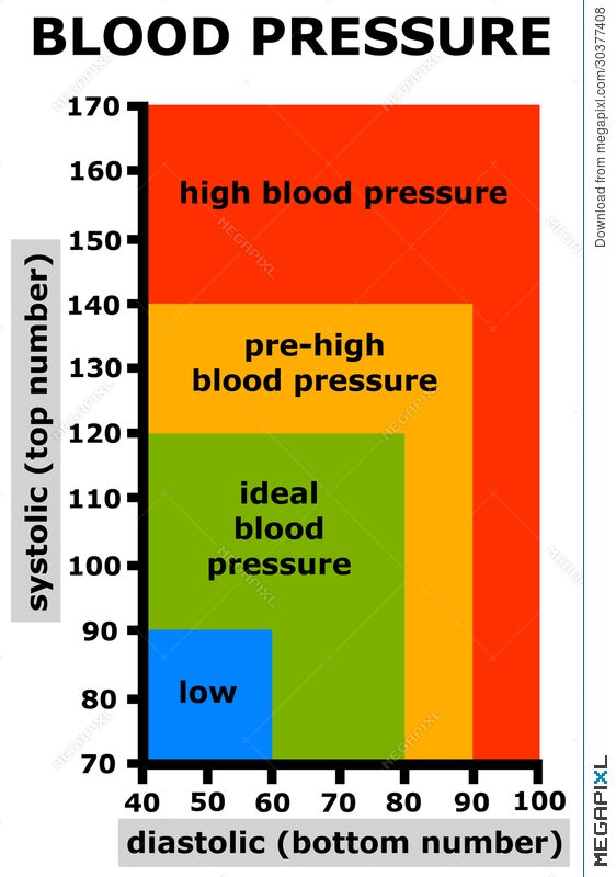 Blood Pressure Illustration Megapixl