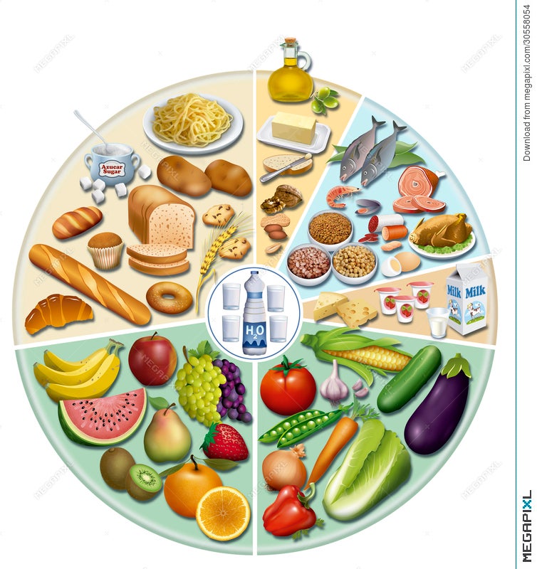 Balanced Diet Illustration 30558054 - Megapixl
