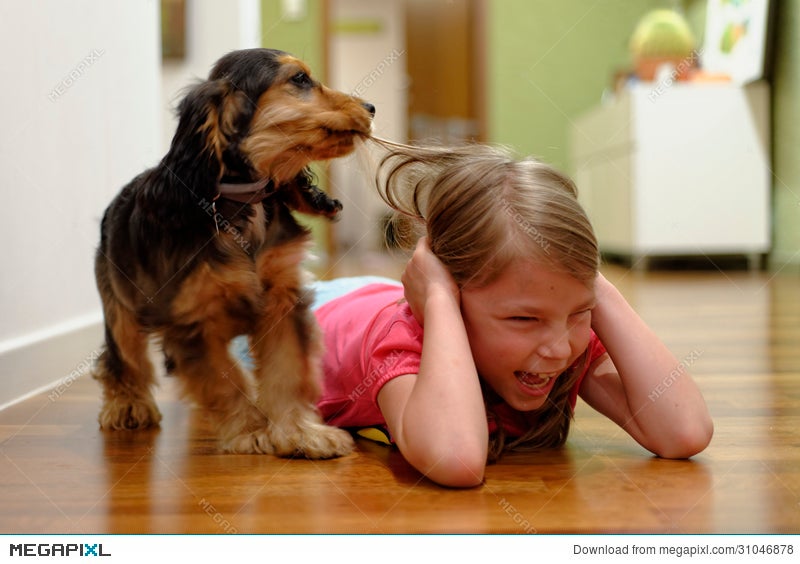dog pulling hair out