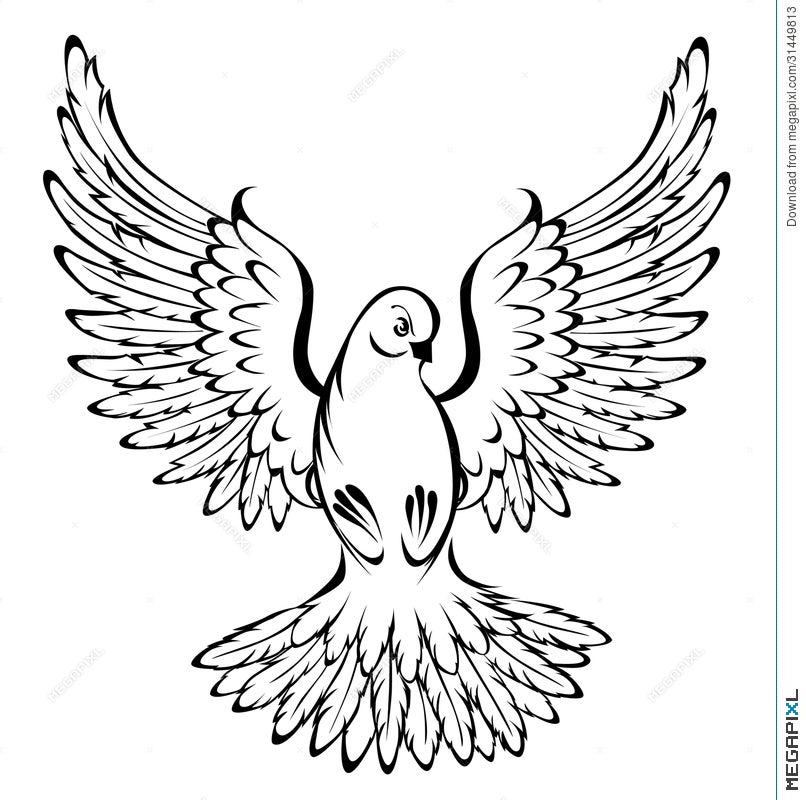 Pigeons And Doves Drawing Image Vector Graphics Sketch, PNG, 1026x733px,  Pigeons And Doves, Art, Drawing, Line