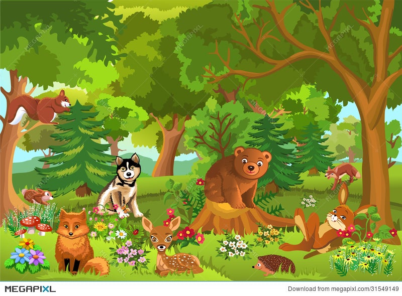 Animals At The Forest - Animals In A Woodland Ecosystem - They lived