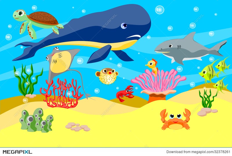 Sea Animals Background Illustration 32378261 - Megapixl
