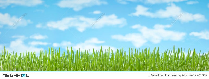 Grass Sky Banner Background Stock Photo 32761667 - Megapixl