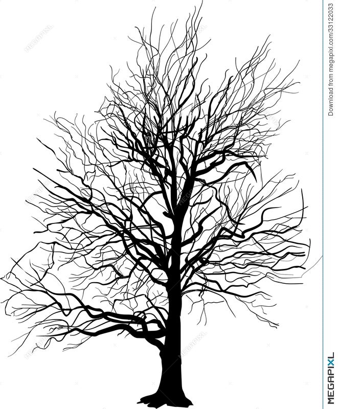 Bare Tree  Bare Tree Clip Art Transparent PNG  480x600  Free Download on  NicePNG