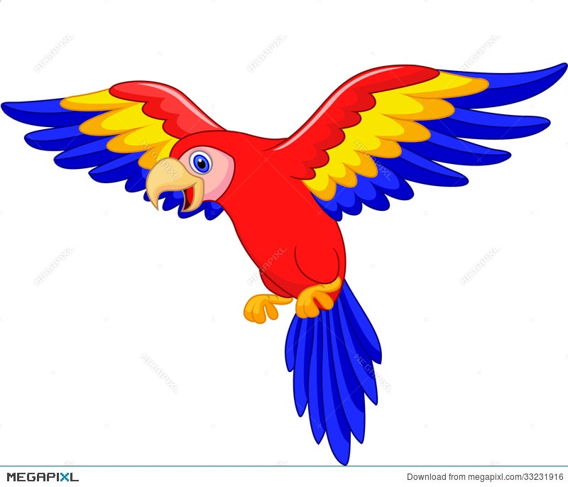 Cute Parrot Bird Cartoon Illustration 33231916 - Megapixl