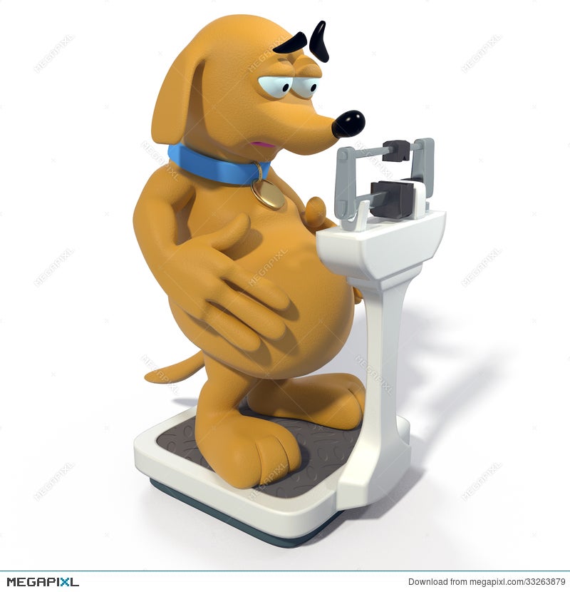 Fat Brown Dog On Scale Illustration 33263879 - Megapixl Fat Brown Dog On Scale Illustration 33263879 - Megapixl