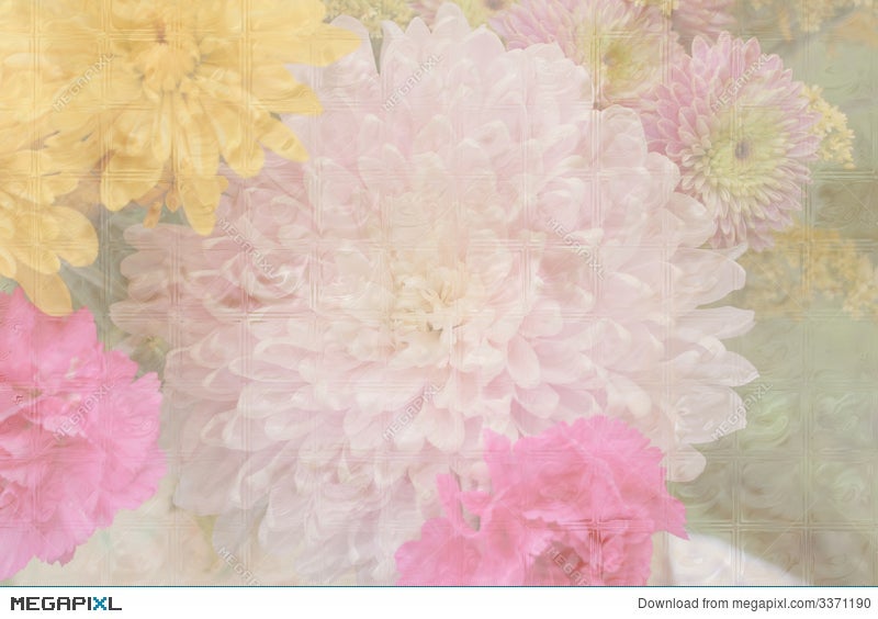 Pastel Flower Background Stock Photo 3371190 - Megapixl