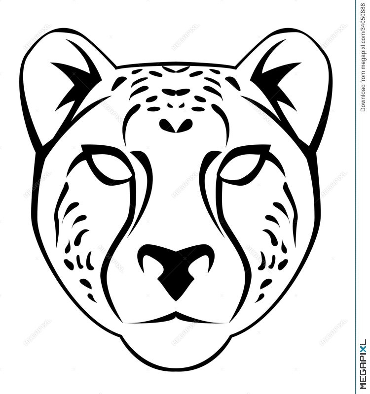 Cheetah Face Illustration 34050888 - Megapixl