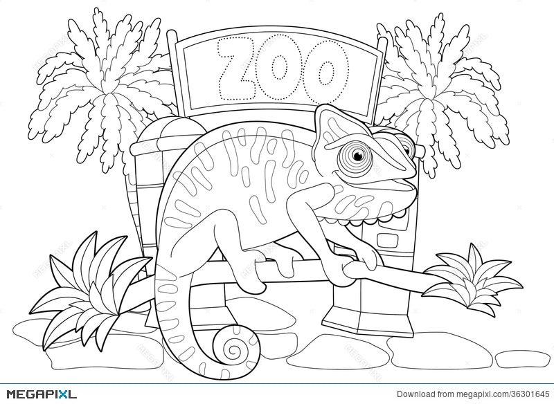 Coloring Page - The Zoo - Illustration For The Children Illustration  36301645 - Megapixl