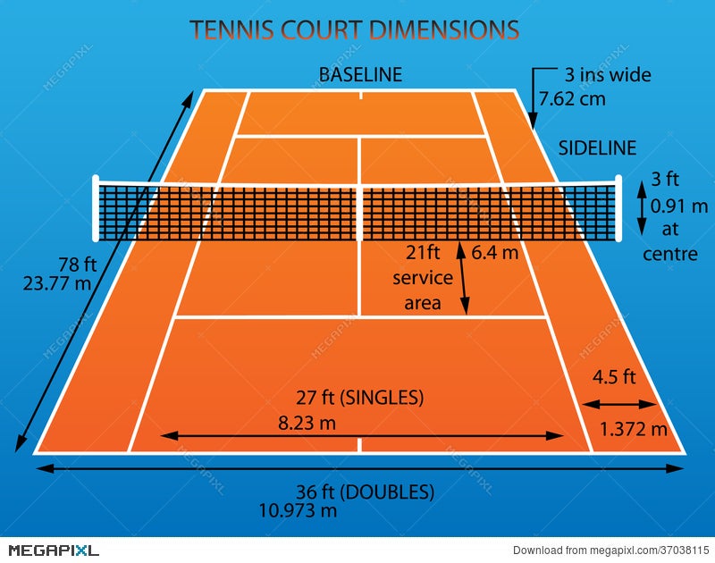 Tennis Court With Dimensions Illustration Megapixl
