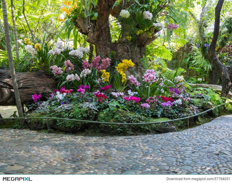 Beautiful Backyard Garden Park Scene Stock Photo 37794031 Megapixl