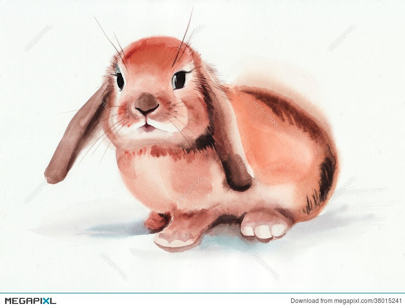 The Brown Bunny Download Link