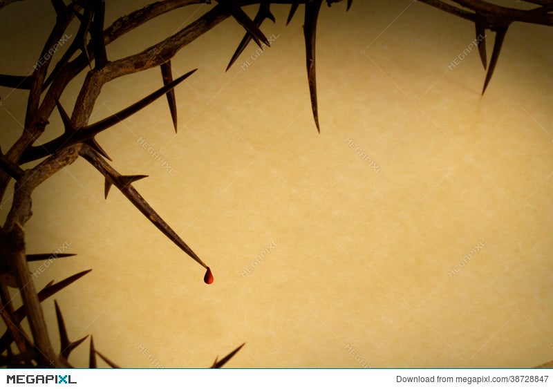 Crown Of Thorns Background Good Friday Stock Photo 38728847 - Megapixl