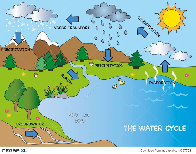 enaguas Contratar Inseguro Water Cycle Illustration 38776414 - Megapixl