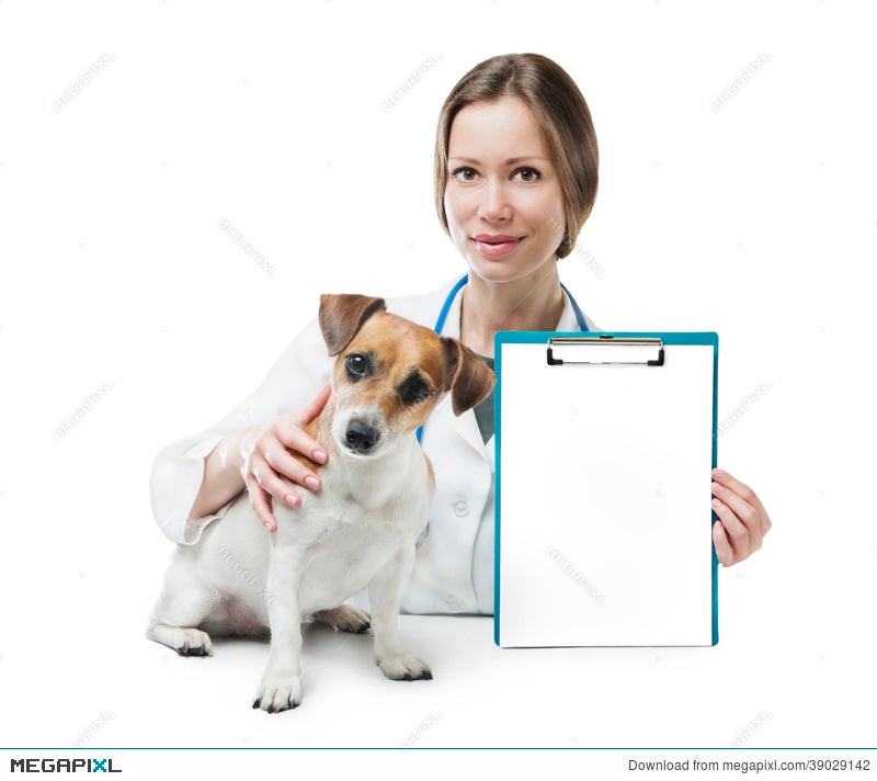 Vet Clinic Banner Stock Photo 39029142 Megapixl