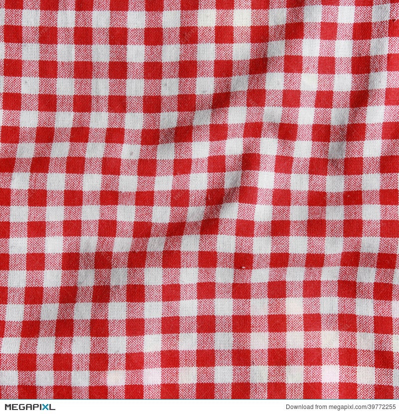 white and red checkered picnic blanket