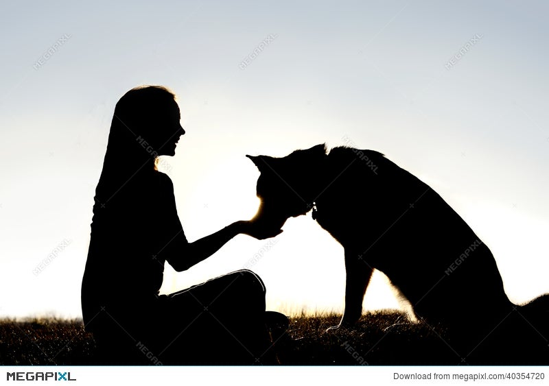 Woman Feeding Pet Dog Treats Silhouette Stock Photo 40354720 - Megapixl