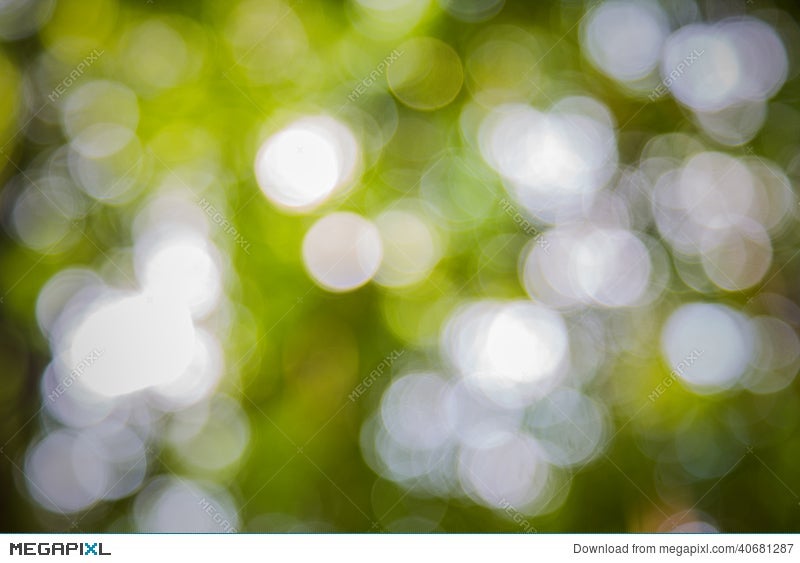 Green Natural Background Of Out Of Focus Forest Or Bokeh Stock Photo  40681287 - Megapixl