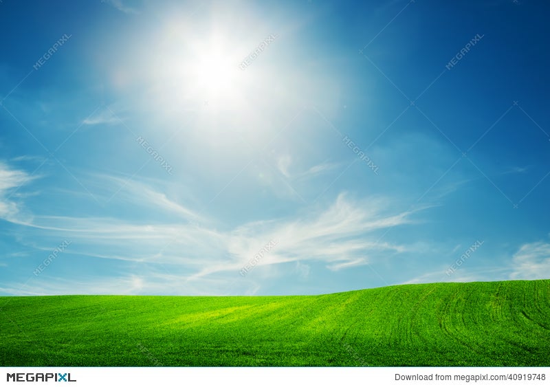 Spring Field Of Green Grass Blue Sunny Sky Stock Photo Megapixl
